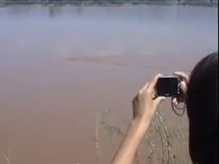 รูปภาพพญานาคโผล่กลางแม่น้ำโขงที่ อ.สังคม จ.หนองคาย