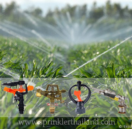 สปริงเกลอร์ Sprinkler