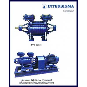 ปั๊มสูบน้ำ Intersigma SVD