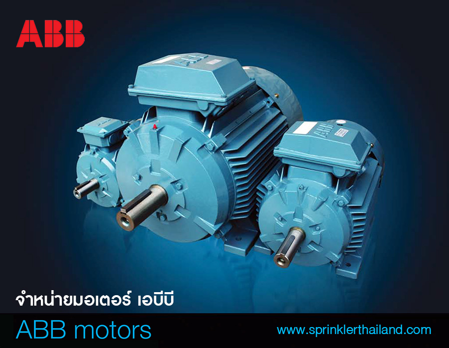 ABB motor มอเตอร์เอบีบี, มอเตอร์ ABB